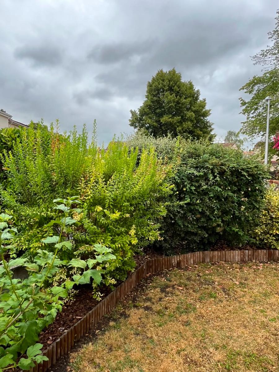 Chantier d'entretien de jardin réalisé par Verdyval, paysagiste du réseau Factotum, près de Gerzat