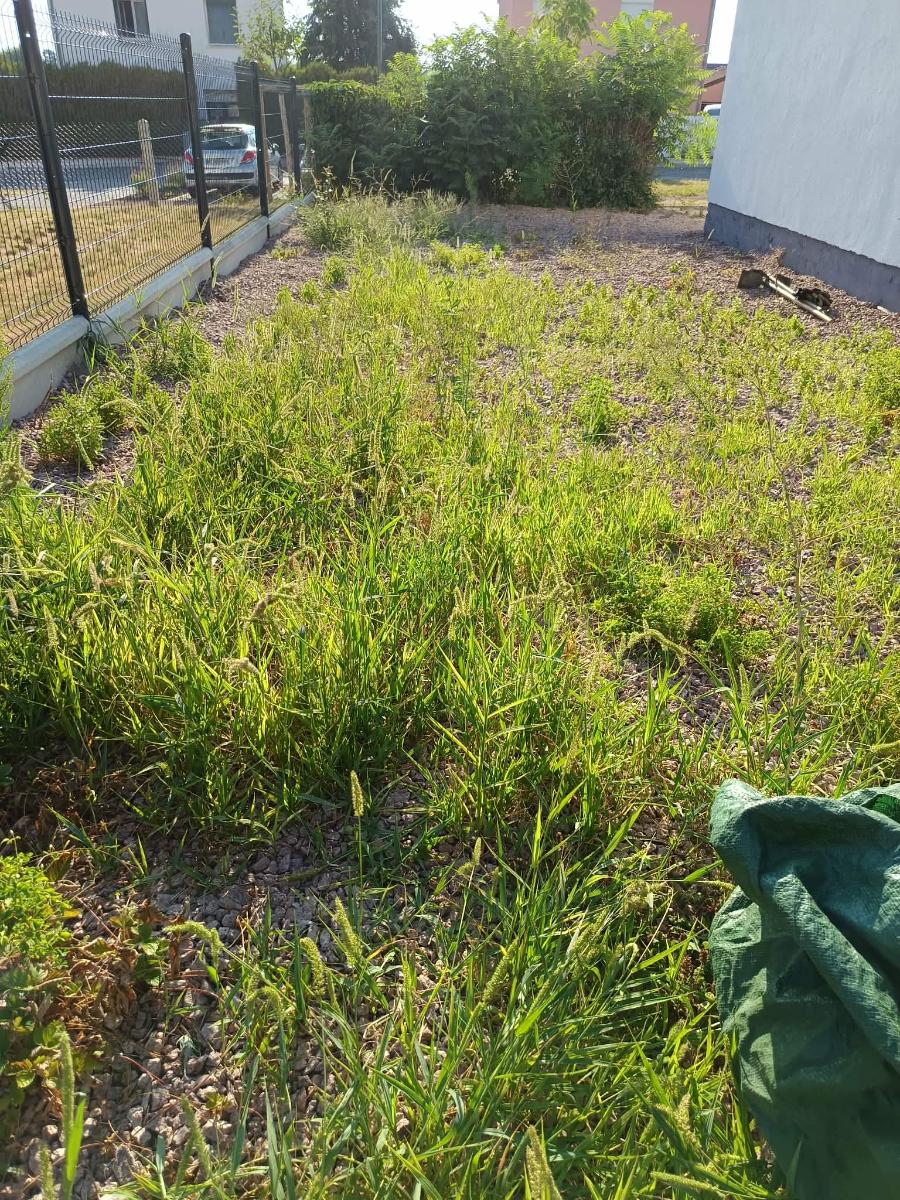 Chantier d'entretien de jardin réalisé par William DENNE, paysagiste du réseau Factotum, près de Billezois