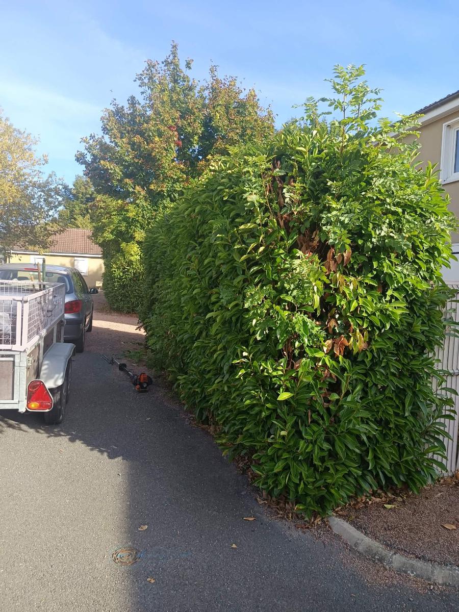 Chantier d'entretien de jardin réalisé par William DENNE, paysagiste du réseau Factotum, près de Billezois